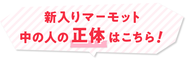 新入りマーモット 中の人の正体はこちら！