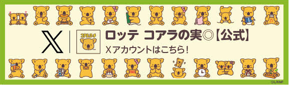 X ロッテ コアラの実◎【公式】