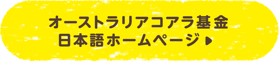 オーストラリアコアラ基金 日本語ホームページ