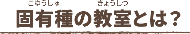 固有種の教室とは？