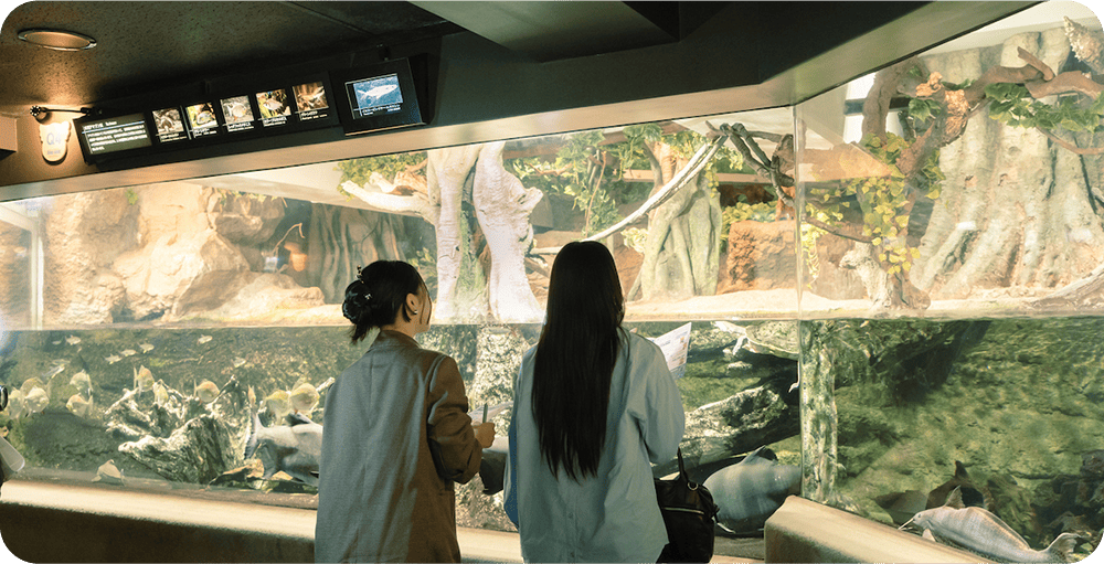 「水辺の旅」ゾーンを見学している写真