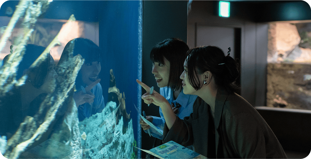 水槽を見ている写真