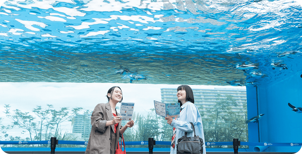 「マリンガーデン 天空の旅」の写真