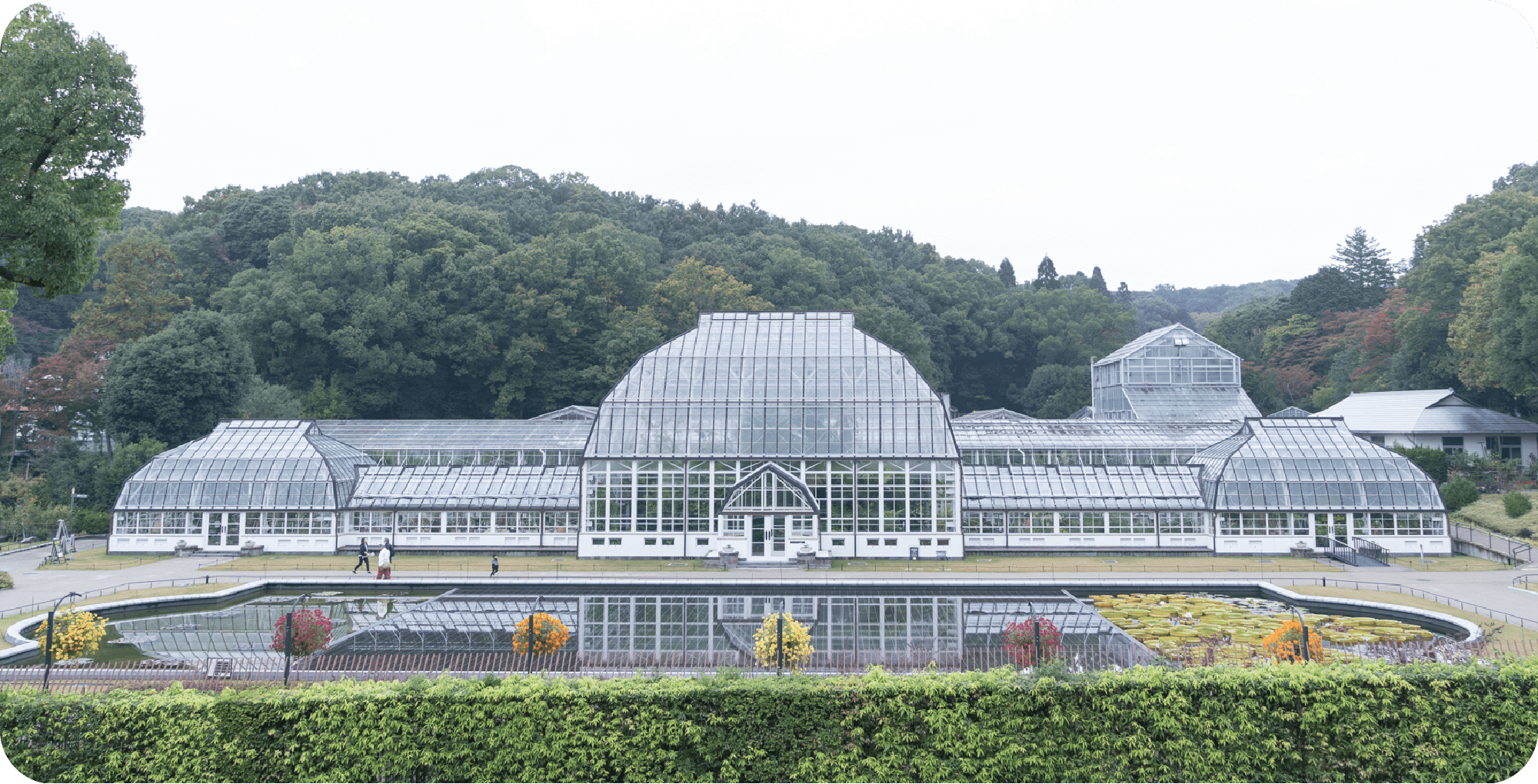 植物エリアの温室