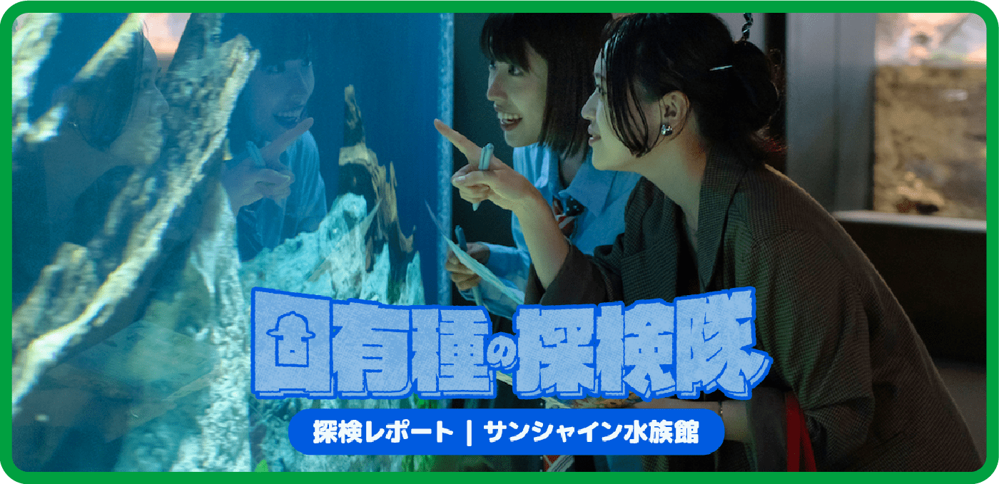 固有種のマーチ日本編