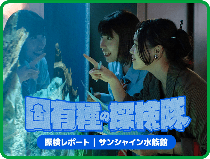 固有種探検隊 探検レポート サンシャイン水族館