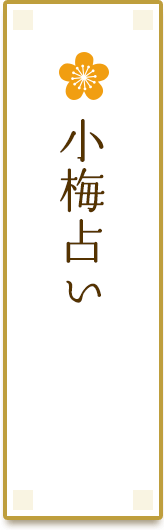 小梅占い