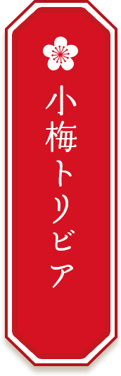 小梅トリビア