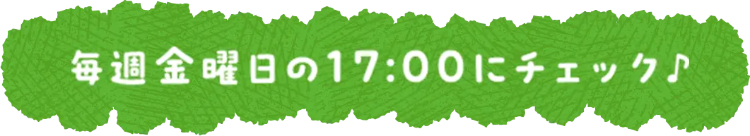 毎週金曜日の17:00にチェック♪