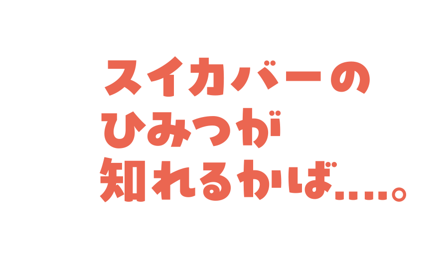 スイカバーのひみつが知れるかば…。