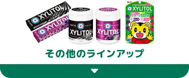 その他のラインアップ