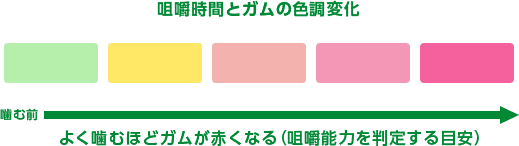 咀嚼時間とガムの色調変化 よく噛むほどガムが赤くなる（咀嚼能力を判定する目安）