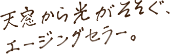 天窓から光がそそぐ、エージングセラー。