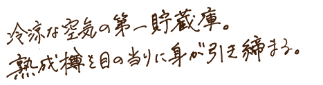 冷涼な空気の第一貯蔵庫。熟成樽を目の前に身が引き締まる。