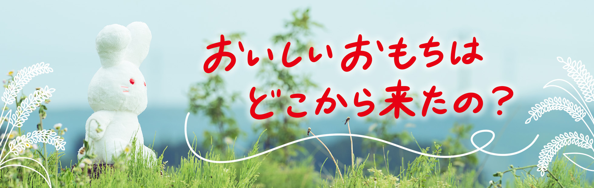 おいしいおもちはどこから来たの？
