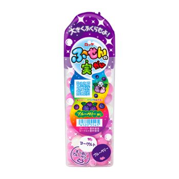 ふ~せんの実<ブルーベリー>