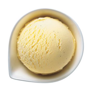 ベーシック ビーンズバニラ ベーシック ビーンズバニラ