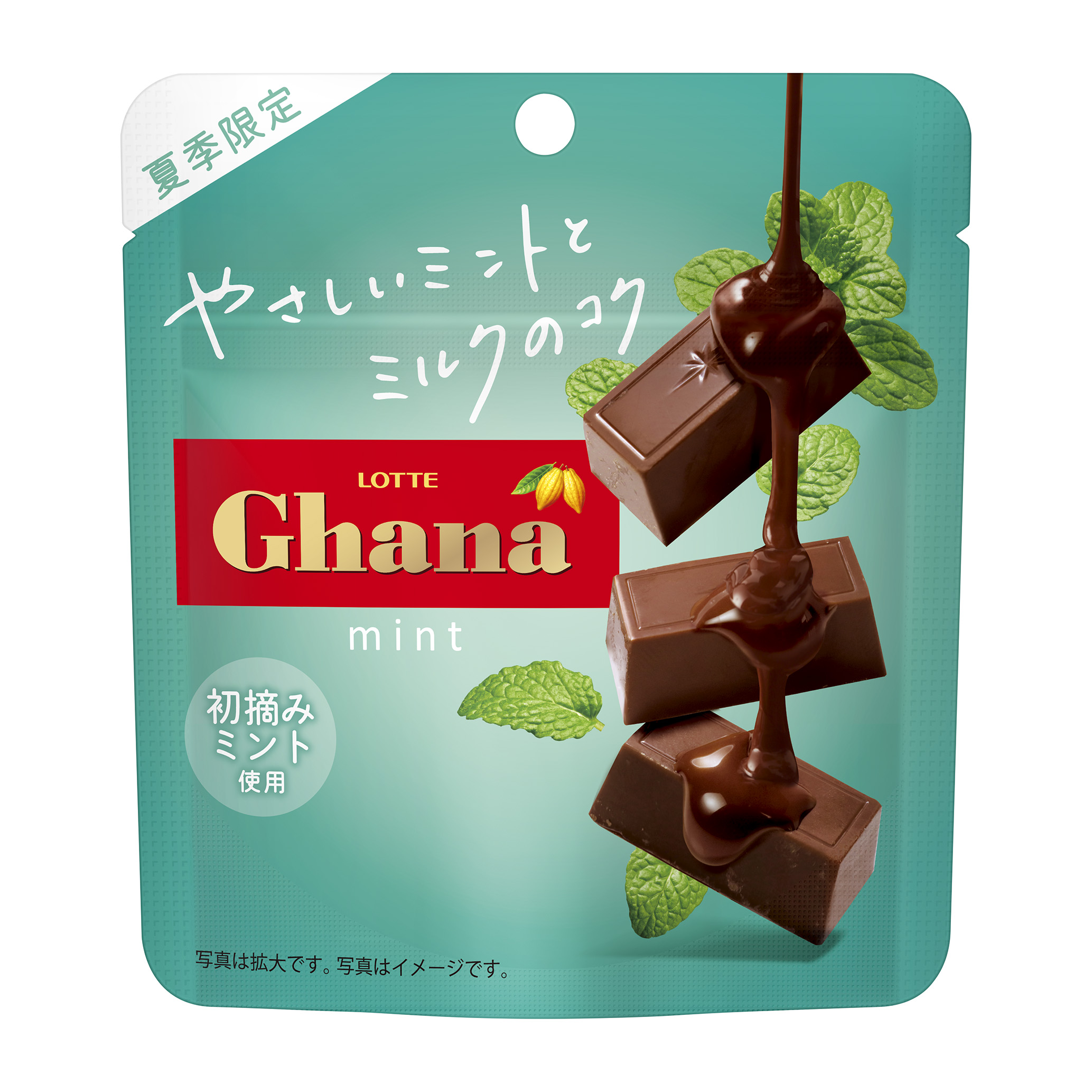 ガーナミントチョコレート
