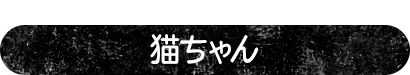 猫ちゃんでほっこり癒されよう 猫ちゃん