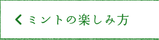 ミントの楽しみ方