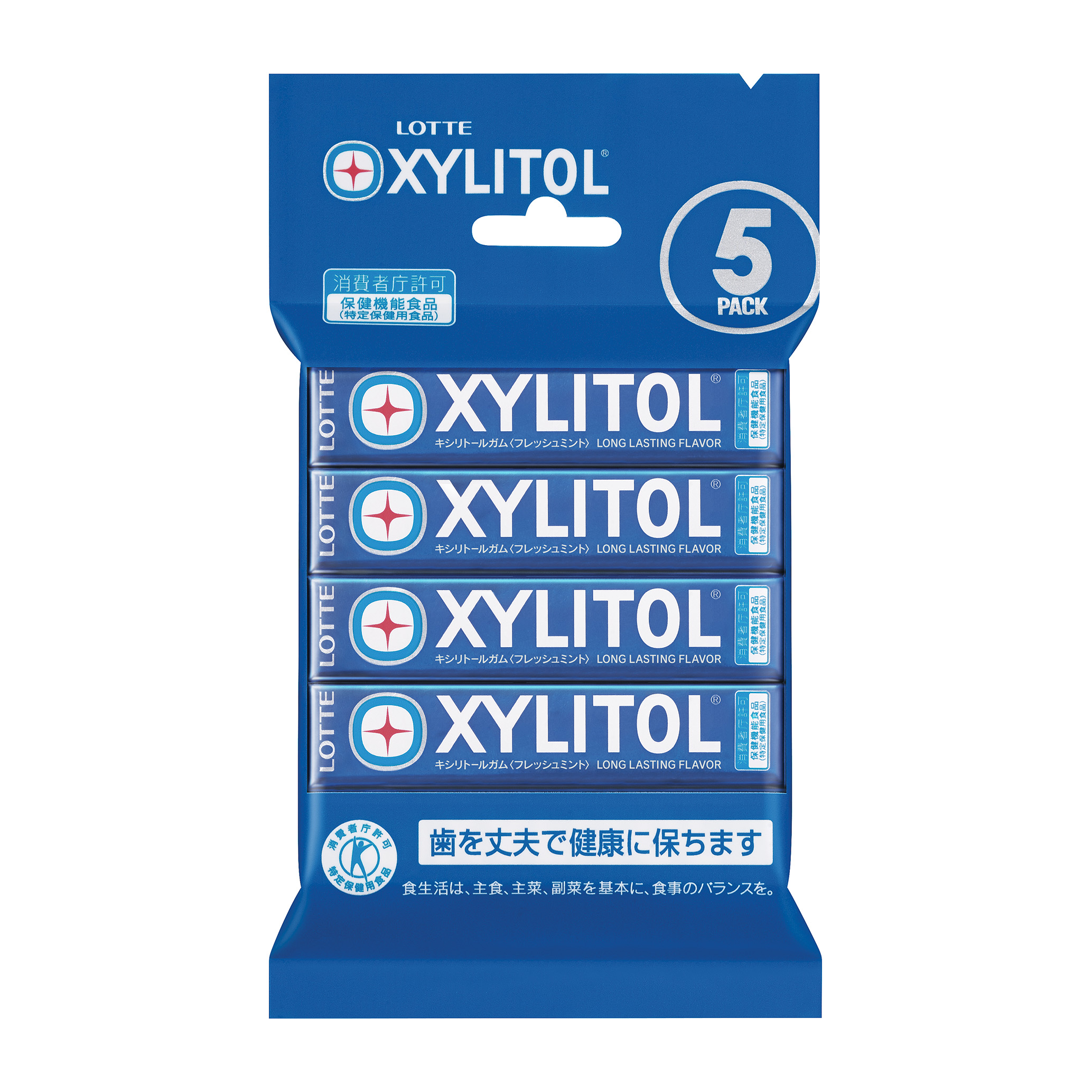 キシリトールガム＜フレッシュミント＞5P
