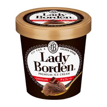 レディーボーデン パイント チョコレート レディーボーデン パイント チョコレート